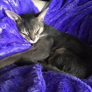 Meet your Posher, Vicki